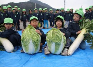 日記2020年1月15日