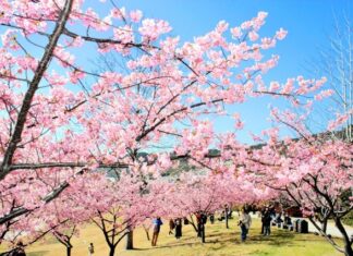 日記2020年2月25日