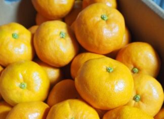 プライムオレンジ