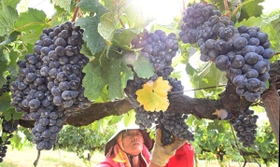 日記2020年8月26日