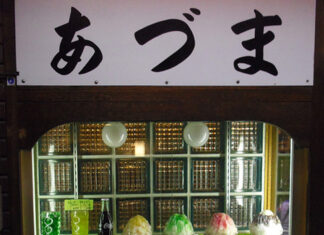 日記2021年1月18-19日