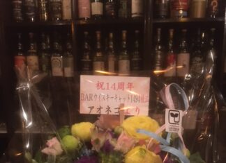 桃栗三年柿八年、気がつけば猫バーは14年