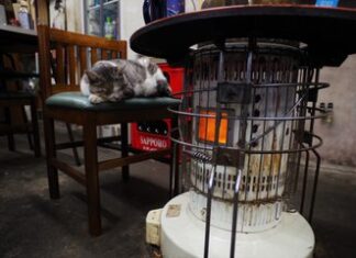 日記2021年2月20日