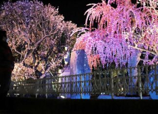 日記2021年2月25日