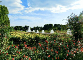 日記2021年7月2日