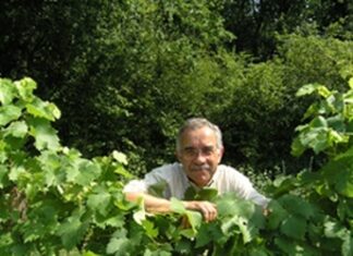 ポールジロー・エクスペリエンス