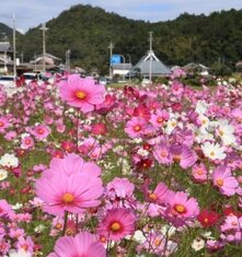 日記2021年10月19日
