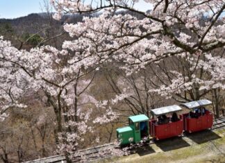 日記2022年2月9日