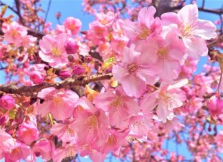 日記2022年3月12日