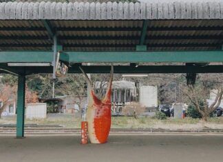 日記2022年5月20日