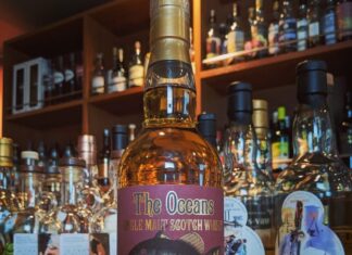 まさかなおさかな