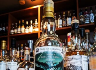 本日寝落ち確定