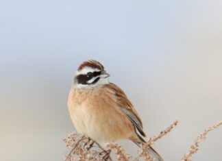 日記2023年2月28日