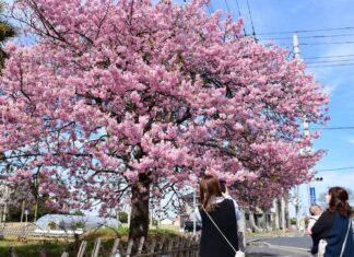 日記2023年3月1日