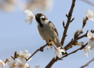 日記2023年4月4日