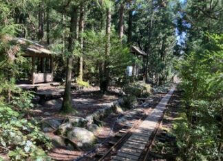 日記2023年4月19日