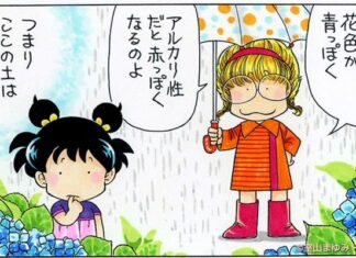 日記2023年6月14日