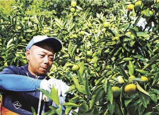 日記2023年9月15日