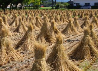 日記2023年9月14日