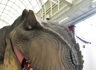 日記2023年9月26日