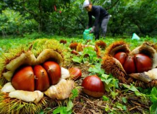 日記2023年9月13日