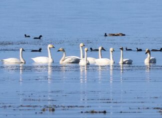 日記2023年10月14日
