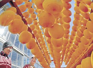 日記2023年10月24日 休業中