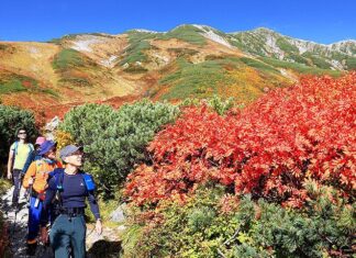 日記2023年10月3日 休業中