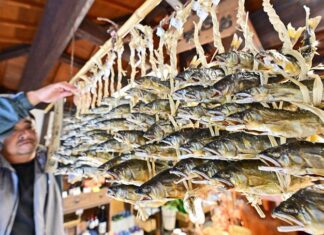 日記2023年10月20日 休業中