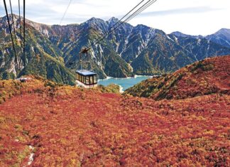 日記2023年10月16日