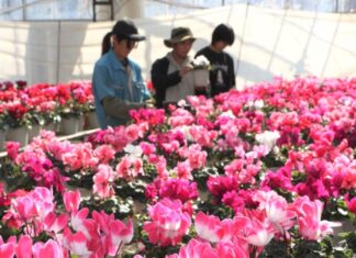 日記2023年11月2日