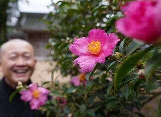 日記2024年12月11日