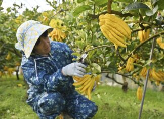 日記2024年12月16日