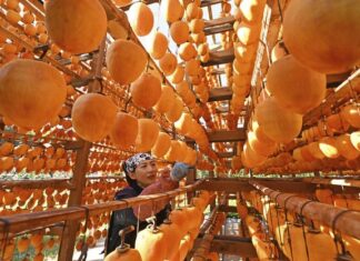 日記2024年12月12日