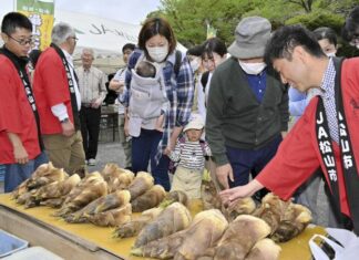 日記2025年4月24日