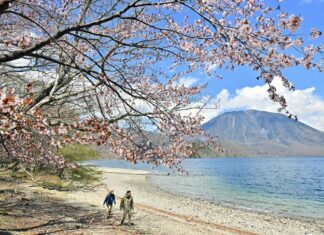 日記2025年5月14日