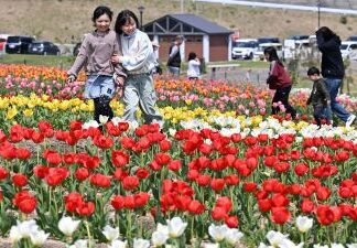 日記2025年4月30日