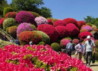 日記2025年5月19日