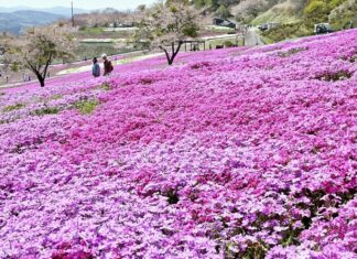 日記2025年5月1日