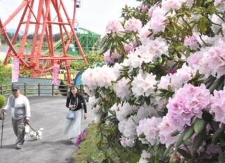 日記2025年5月16日