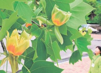 日記2025年5月18日