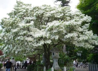 日記2025年5月13日