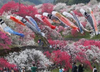 日記2025年5月2日