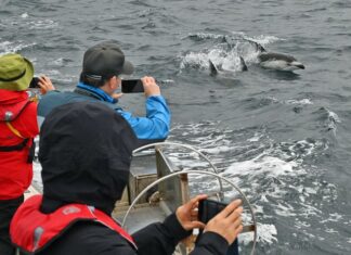 日記2025年5月15日