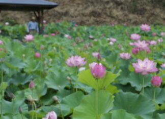 日記2025年7月15日