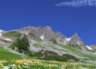 日記2025年7月29日