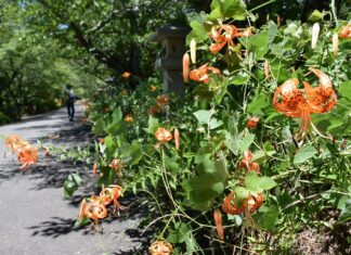 日記2025年7月28日