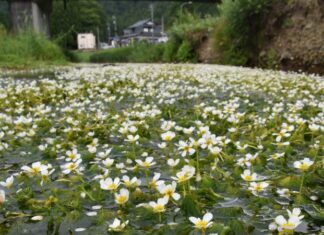 日記2025年7月25日