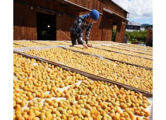 日記2025年7月27日