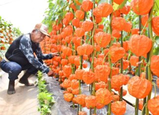 日記2025年7月16日